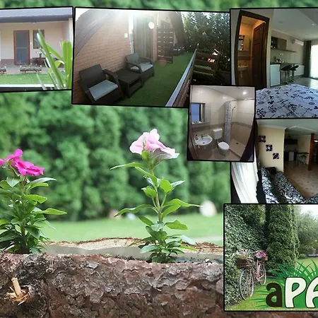 Apartment Apampa